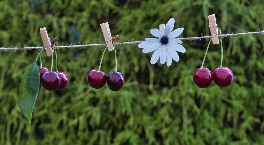 Cherry Picking