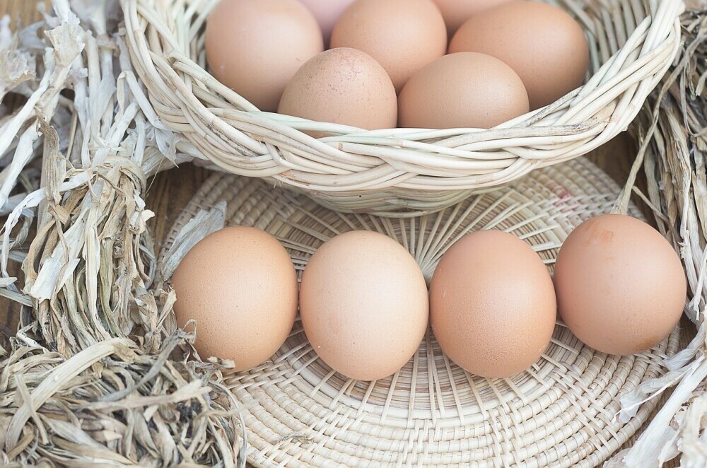 eggs in a basket