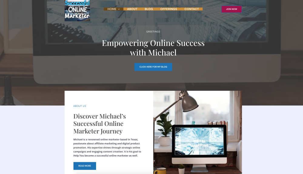 successful online marketer website